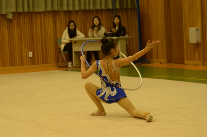 b4b91dc6f24ed33ce7d3c79c866789992226266.JPG